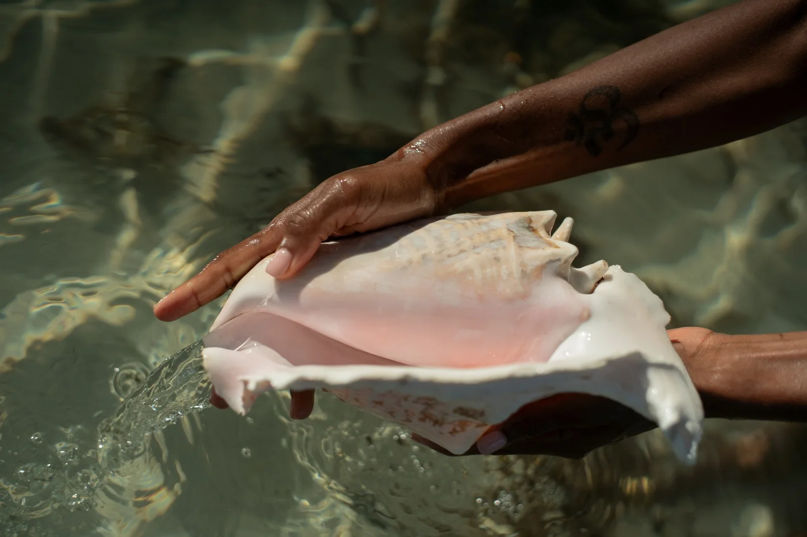 Hands pouring water from a conch shell